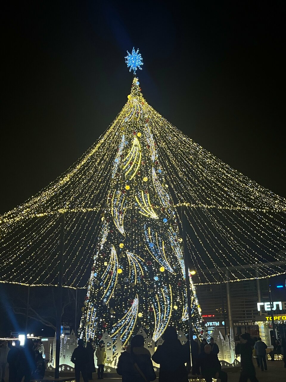 Гостиница Астель Вилла Геленджик-76