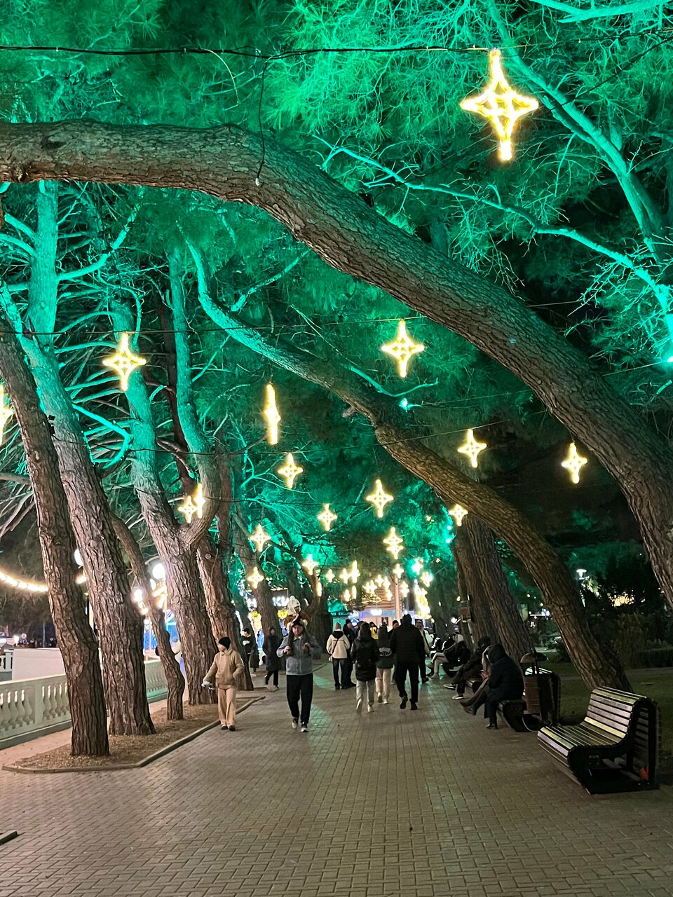 Гостиница Астель Вилла Геленджик-88