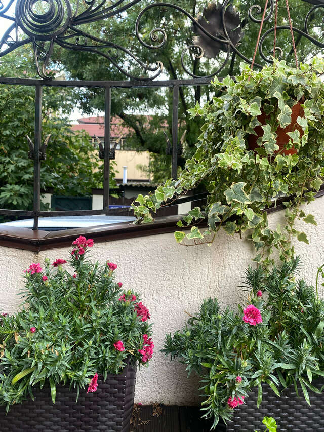 Гостиница Астель Вилла Геленджик-163