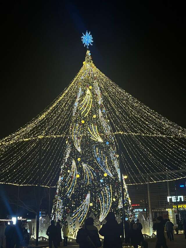 Гостиница Астель Вилла Геленджик-75