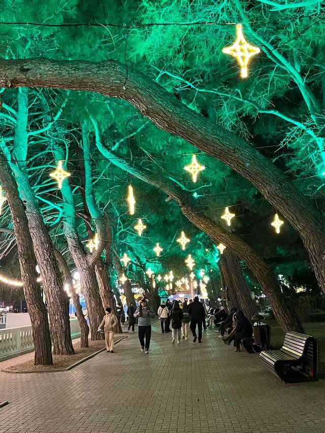 Гостиница Астель Вилла Геленджик-87